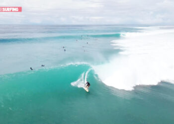 FLASHSURFING 100