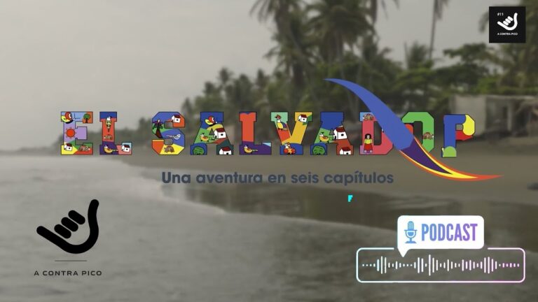 A CONTRA PICO CAP 11