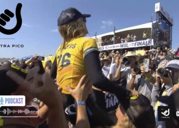 A CONTRA PICO CAP 29